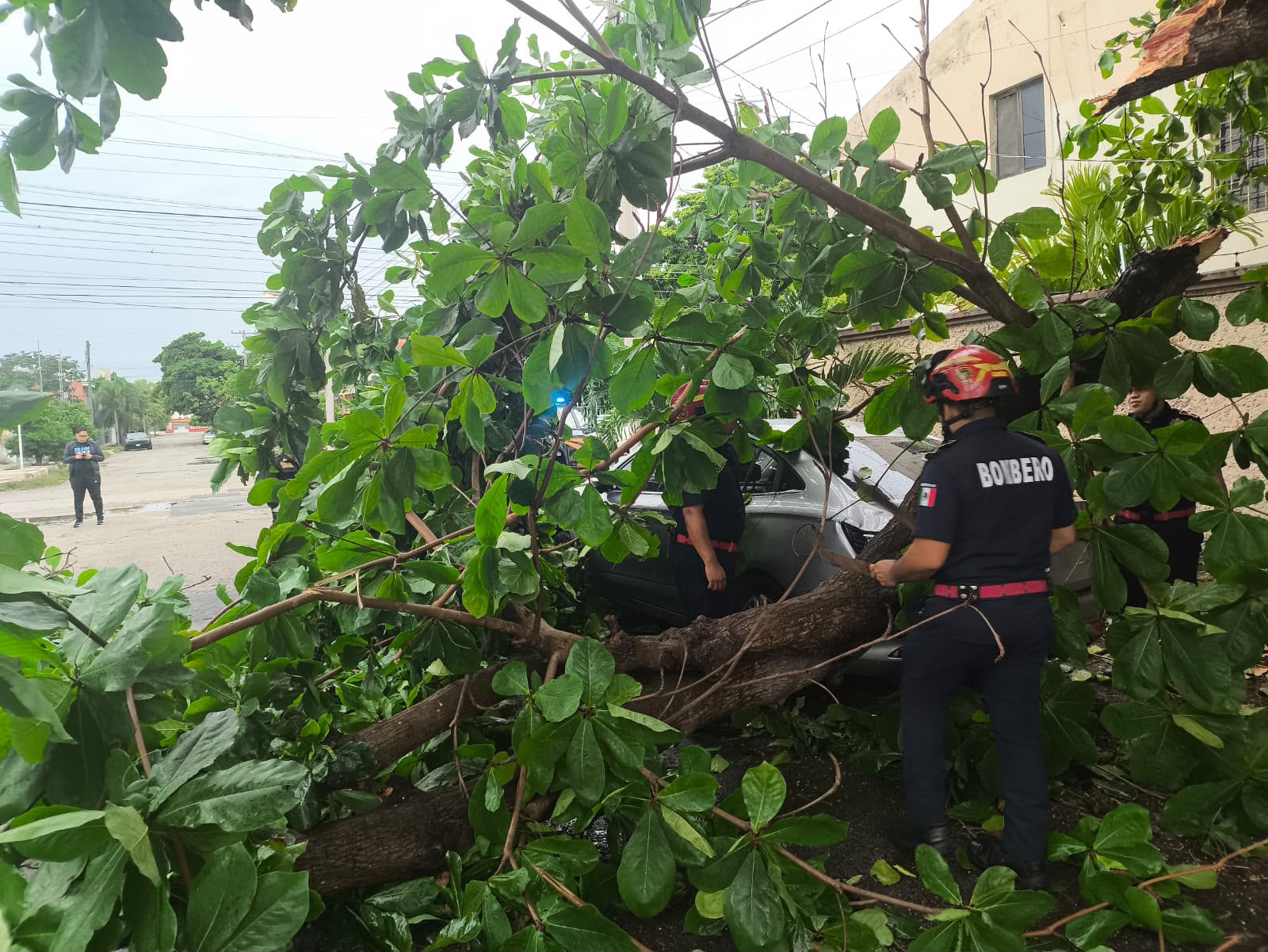 SSP atiende hasta 116 reportes en Mérida y en municipios de Yucatán por afectaciones a causa de lluvias