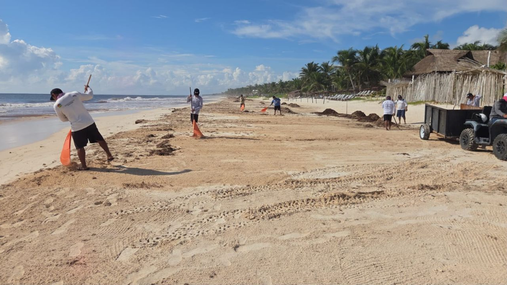 Playas de Tulum recuperan su belleza ante disminución en el arribo de sargazo