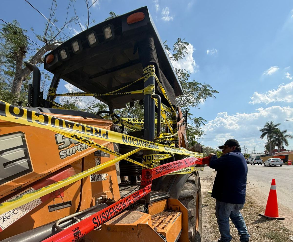 En colaboración con el ayuntamiento de Mérida, vecinos detienen tala ilegal de árboles en Cholul