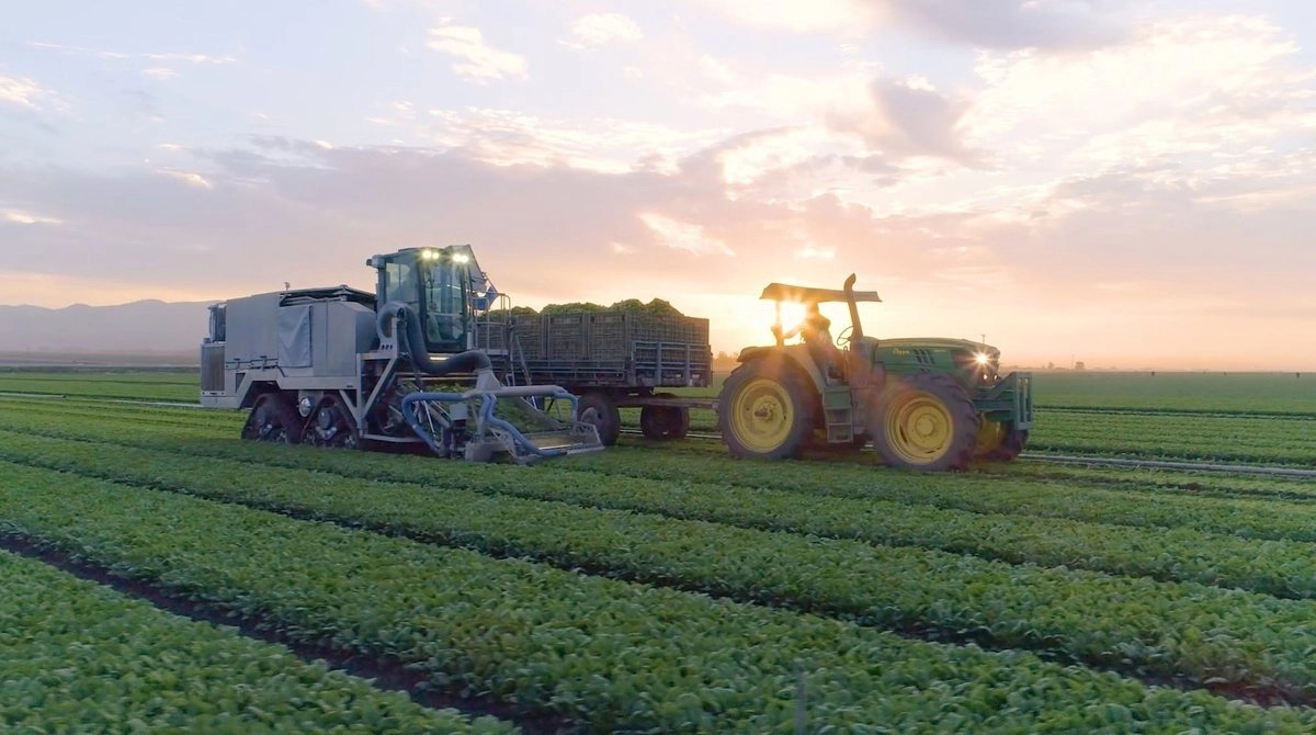 Taylor Farms suspenderá cosecha de lechuga en México durante temporadas de ciclosporiasis