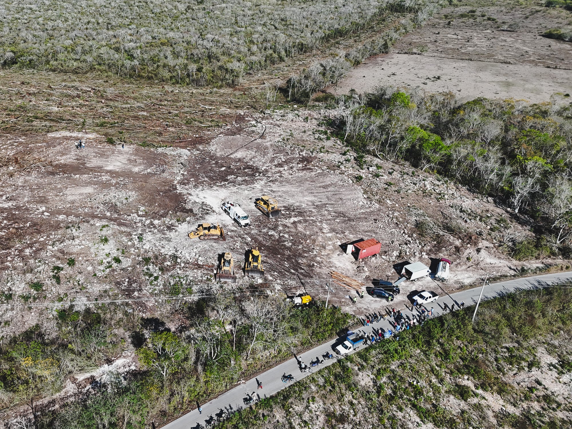 Profepa clausura predio en Becanchén, Tekax, por desmonte ilegal de vegetación 