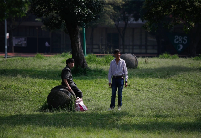 Comunidad therian, fenómeno que ha surgido recientemente en las redes sociales