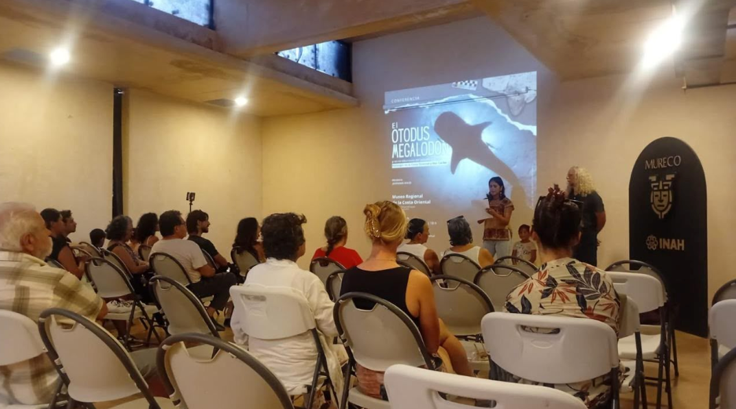 Hallazgo de dientes de megalodón en QRoo muestra que la región fue hogar de enormes depredadores marinos