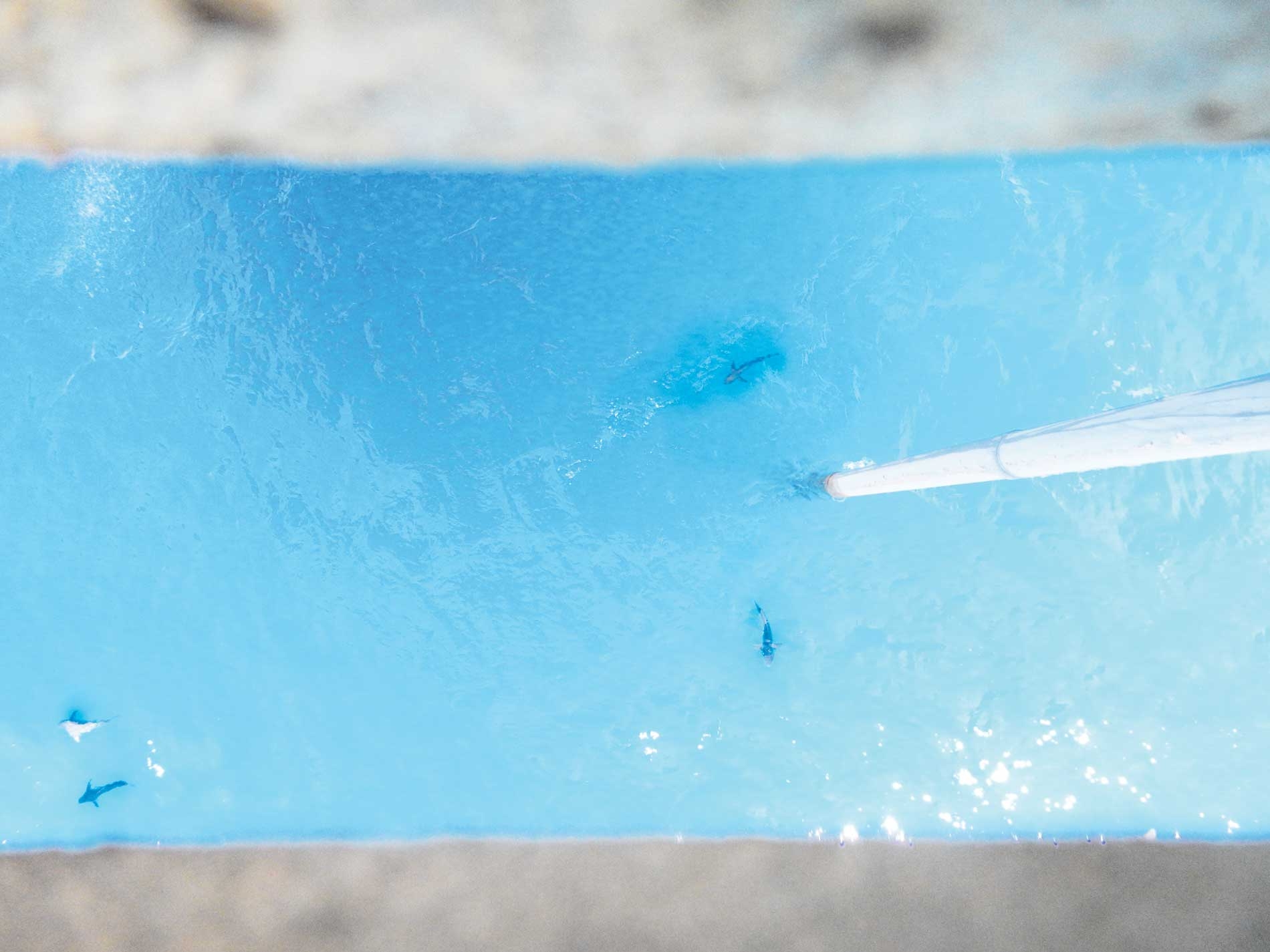 Llamado a invertir en alcantarillado