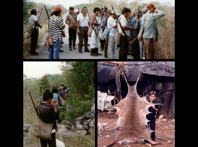 Cacería maya, tradición y subsistencia