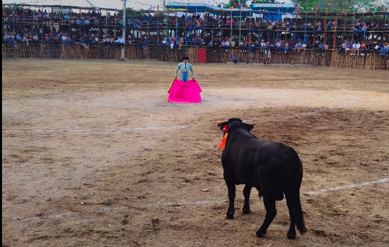 Prohíben maltrato animal contra los toros en la Fiesta Tradicional de Tixkokob 
