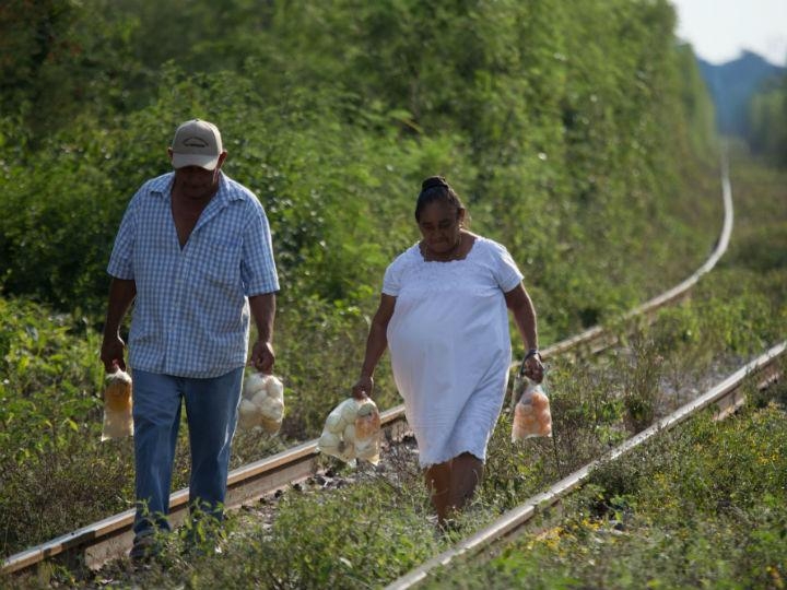 Participación de constructores yucatecos en Tren Maya 