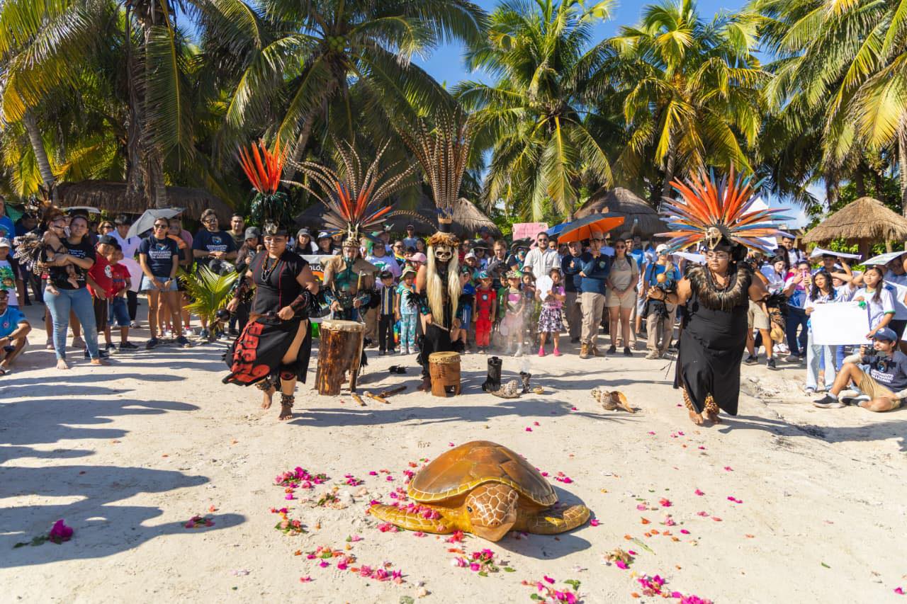Celebran el Festival de la Tortuga Marina en Tulum