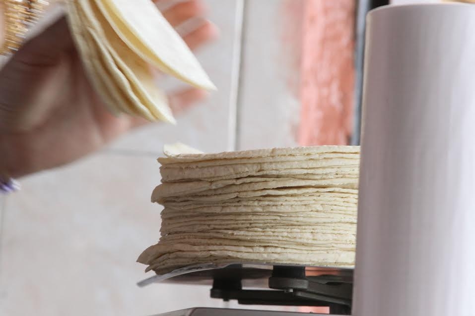 En Mérida, se mantiene precio de la tortilla en 18 pesos por kilo