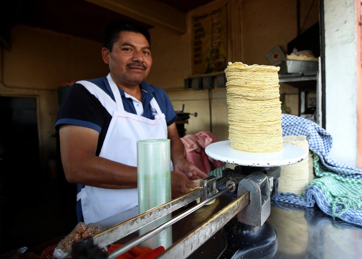 Nada justifica un aumento a la tortilla; el precio del maíz, en los niveles más bajos: Claudia Sheinbaum