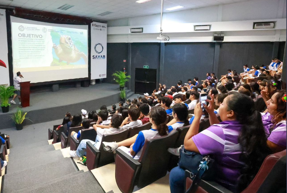 Playa del Carmen pone en marcha el Programa Municipal de Protección y Conservación de Tortugas Marinas
