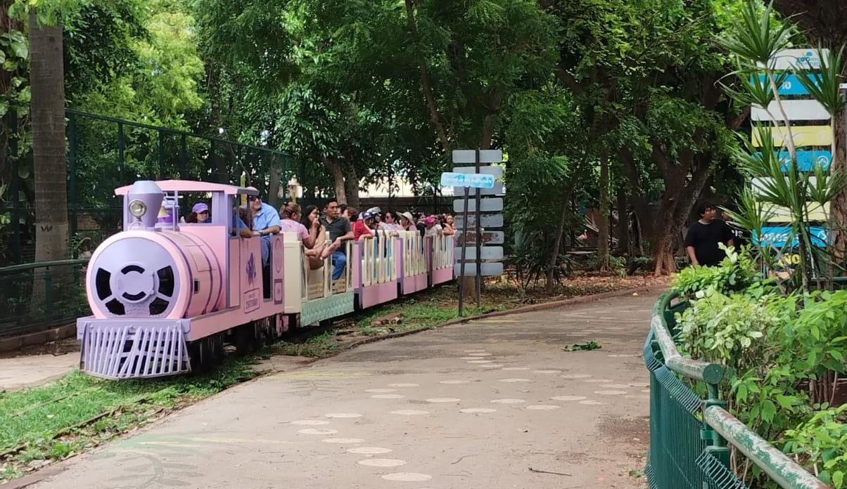 Alcaldesa Cecilia Patrón aclara: No habrá cobro para entrar al Centenario y Animaya