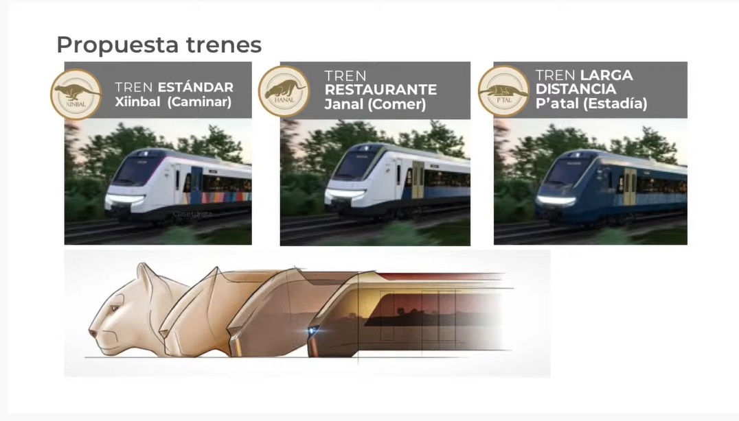 Sin planeación, Tren Maya afectará costumbres y tradiciones de pueblos mayas: Conanp