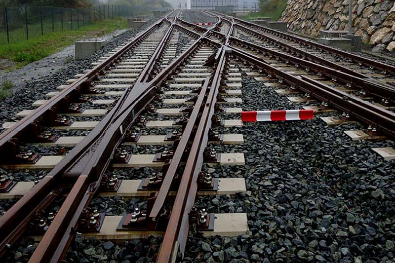 Falta información del impacto ambiental real que generará el Tren Maya: AMIA