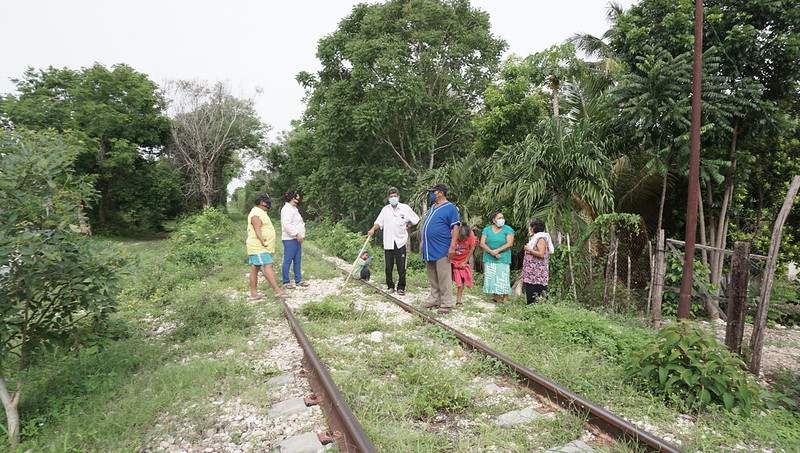 Ambigua y sin claridad, información oficial del Tren Maya: investigadores