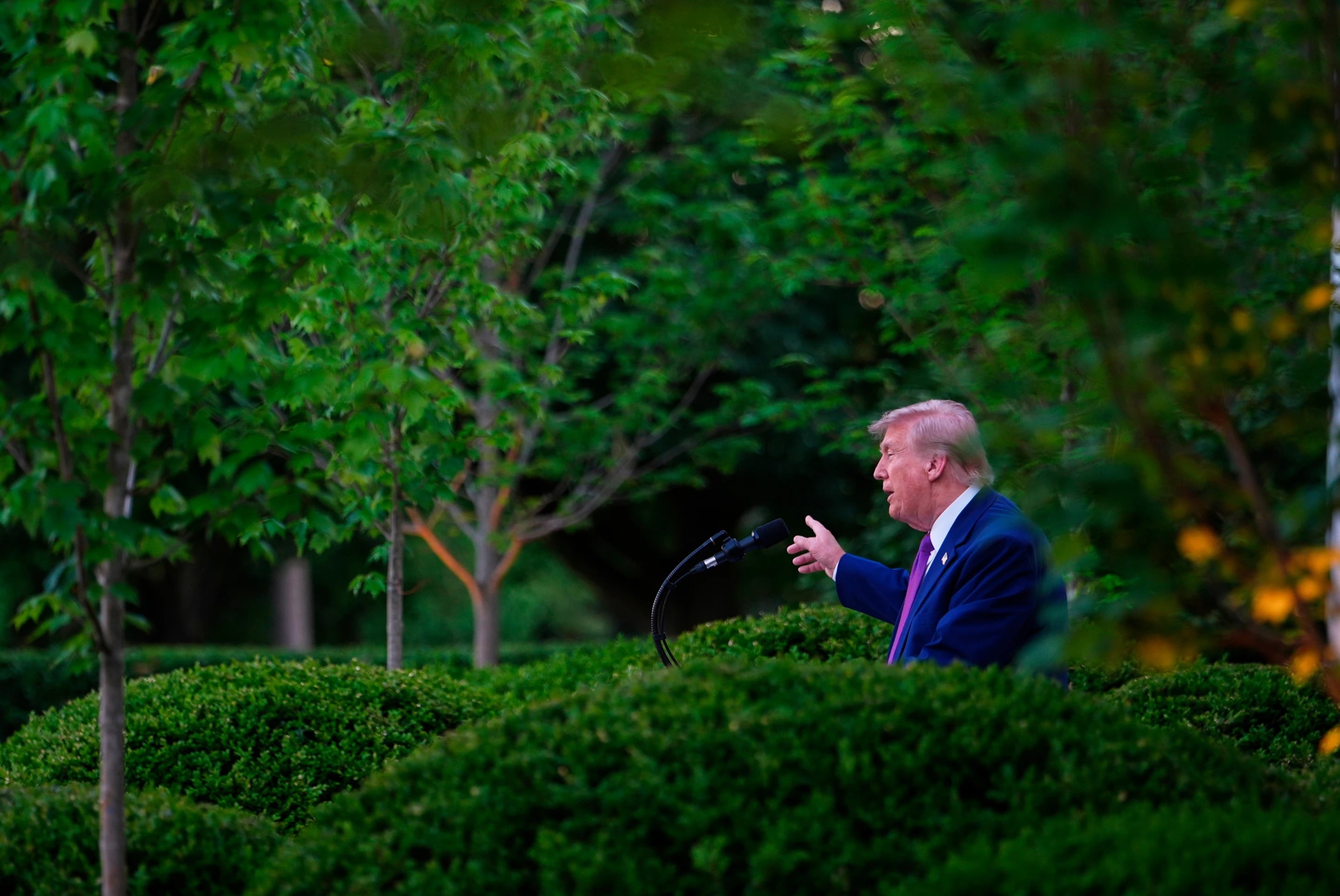 Trump en China, con sus derrotas a cuestas