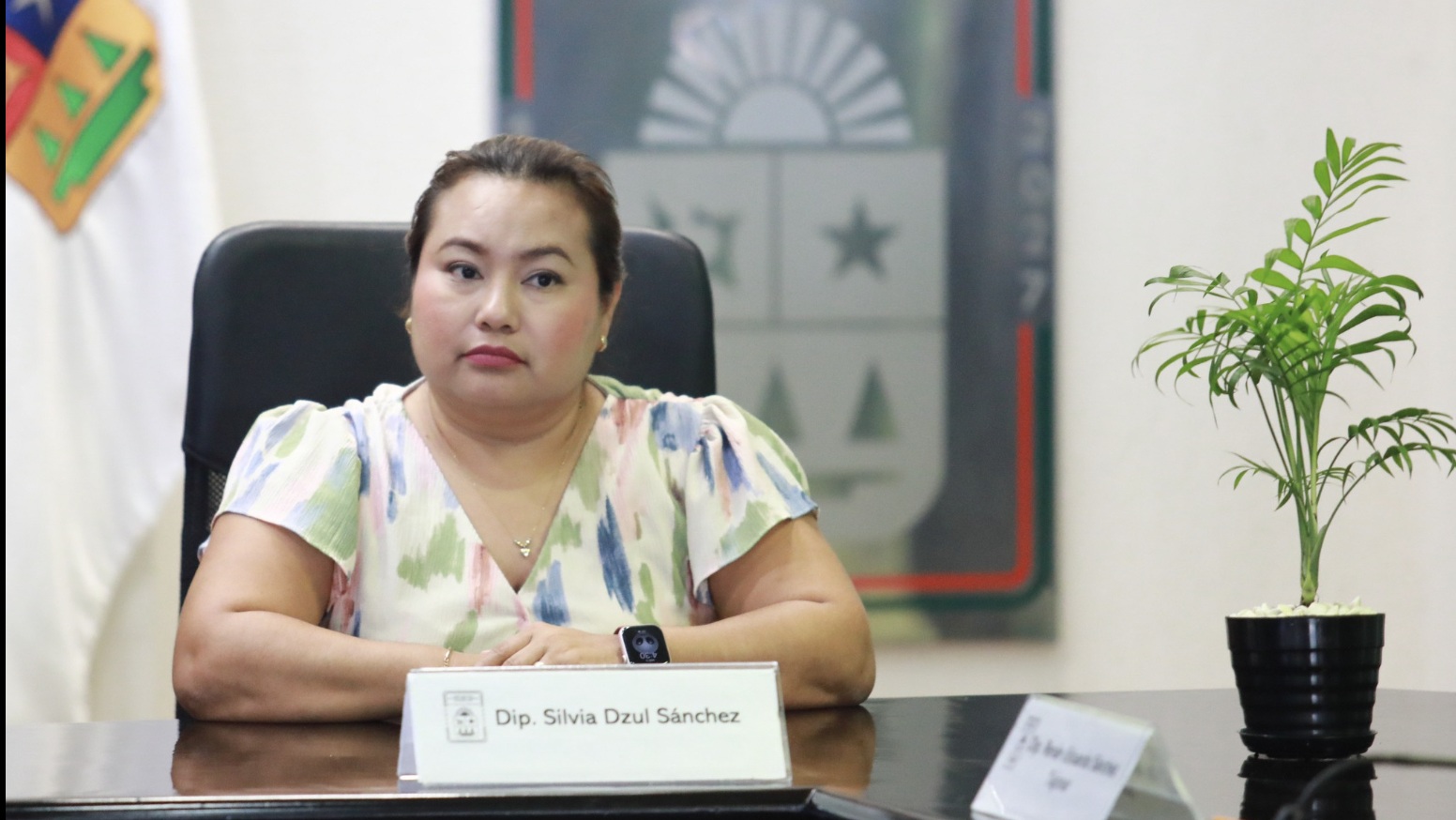 Congreso de QRoo hará análisis minucioso de presupuestos para 2026: diputada Silvia Dzul 