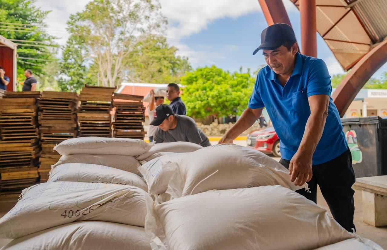 Entregan apoyos al sector ganadero de Tulum