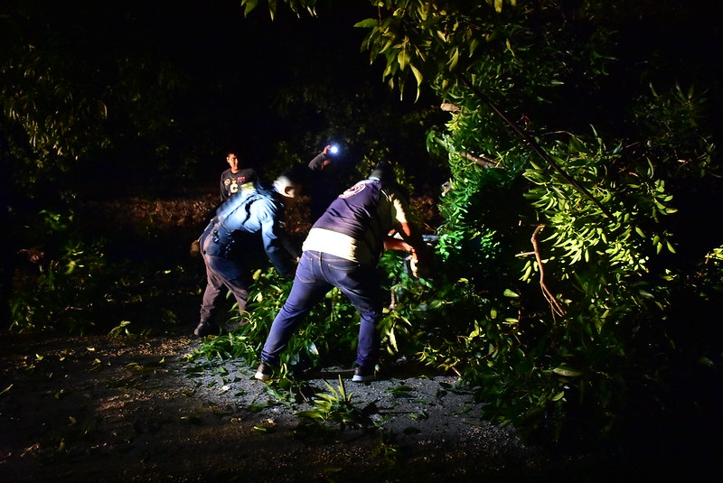 Turbonada en Valladolid deja árboles caídos, calles inundadas y algunos daños en estructuras