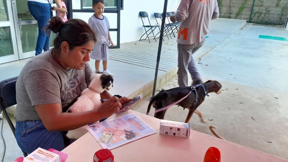 Anuncian Jornada de Vacunación Antirrábica en Tulum