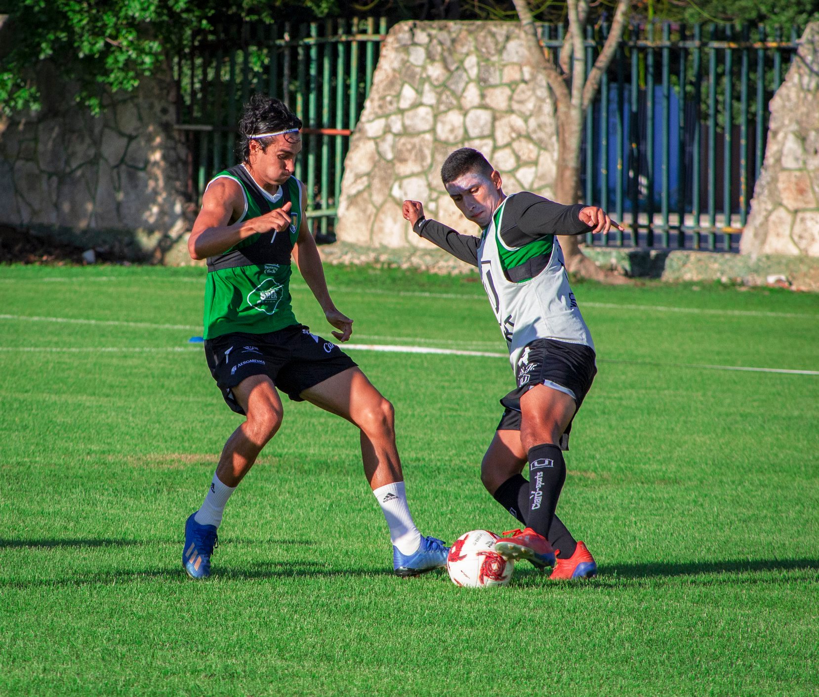 Los Venados reciben hoy al Tapatío