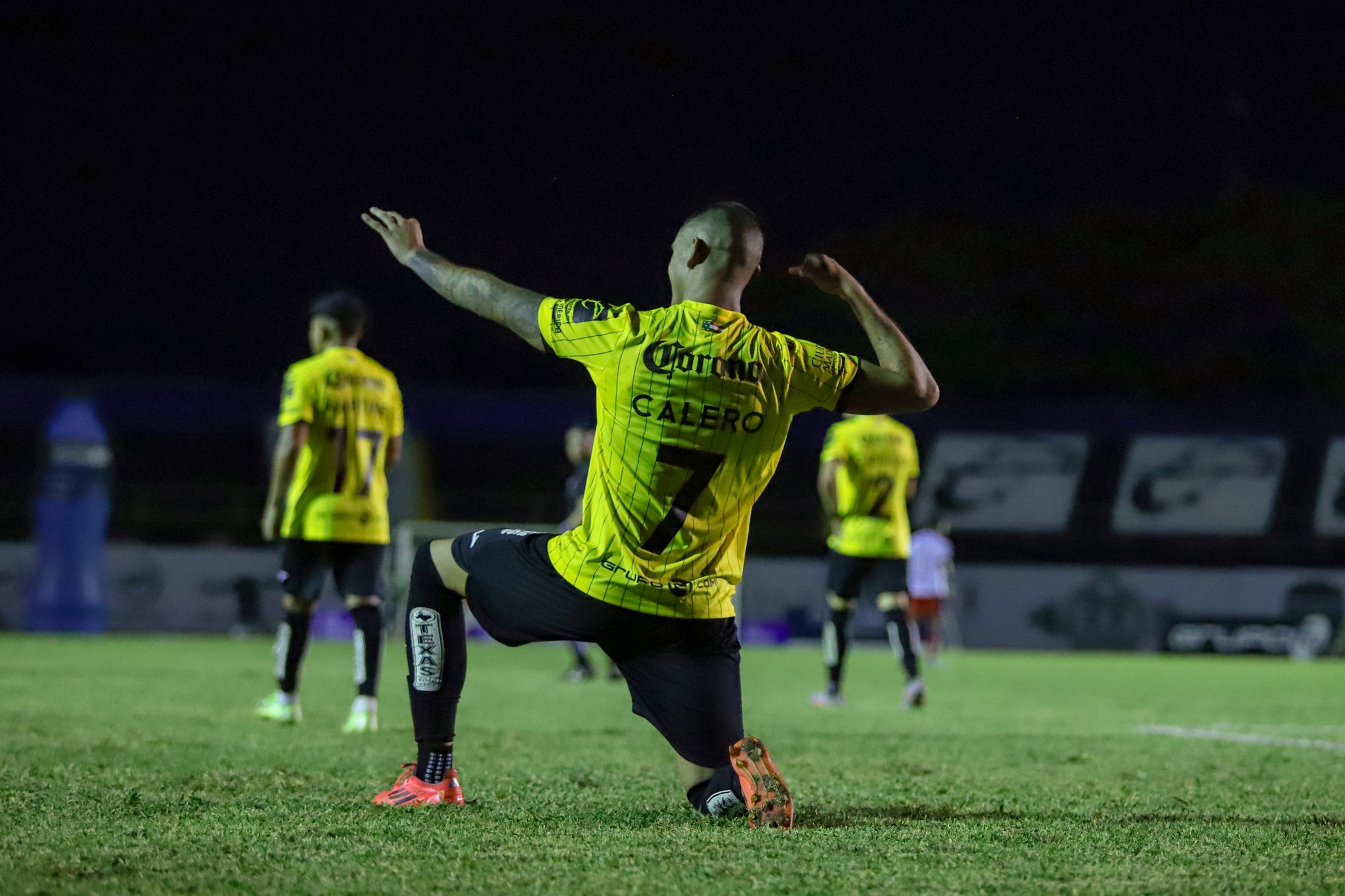 Los Venados de Yucatán reciben el sábado a los Dorados, en pos de su segundo triunfo