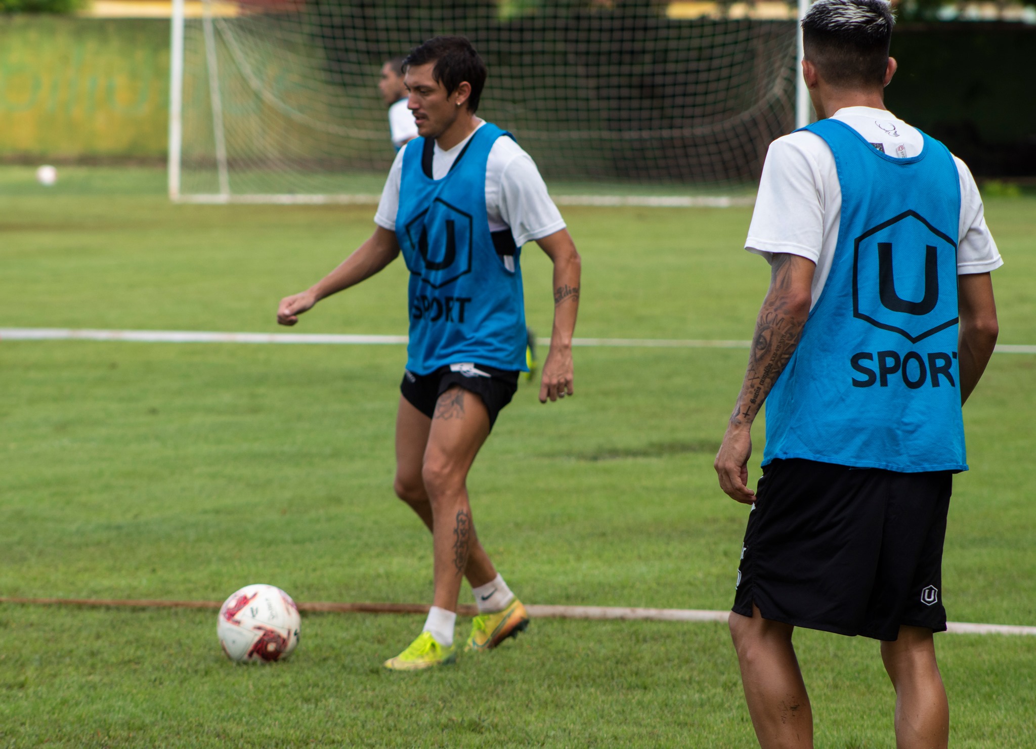 Venados recibe a Morelia, en pos de retomar el buen camino