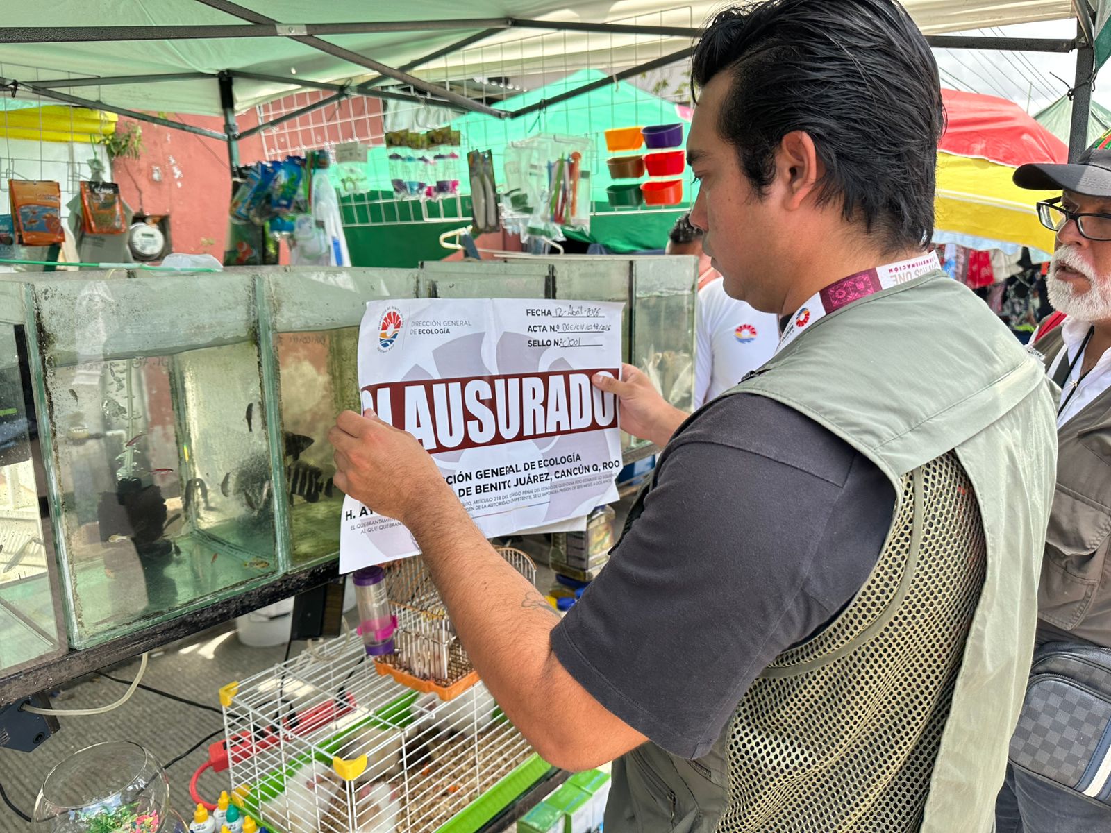 Rescatan a cocodrilo que era comercializado en tianguis de Cancún