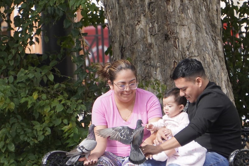 No solo ver, mirar y escuchar, no solo oir