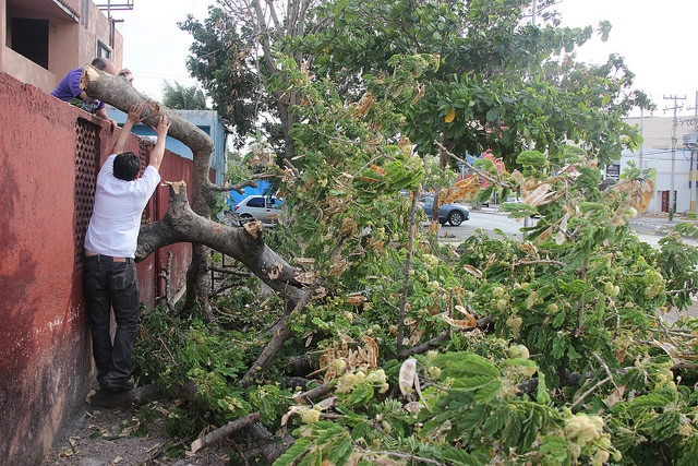 Progreso y oriente de Mérida, los más afectados por turbonada