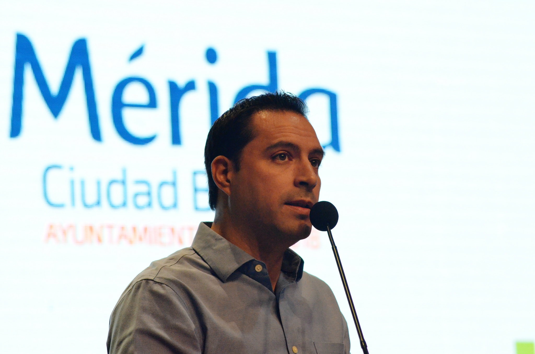 A los panistas nos une el bien común: Vila