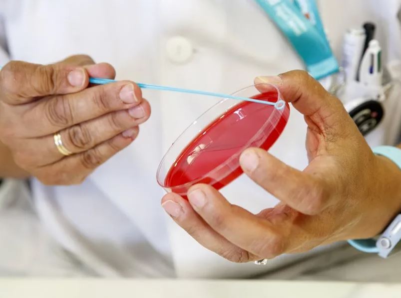 Confirman un nuevo caso de sarampión en Carmen