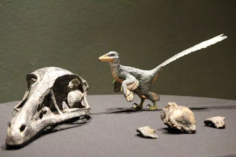 Descubren a un nuevo dinosaurio carnivoro en Coahuila