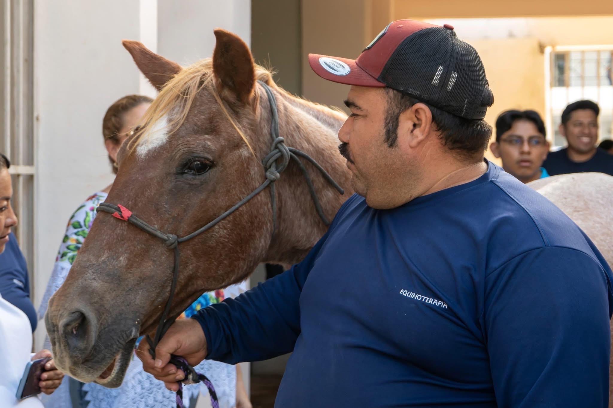'Canela', la nueva yegua del Centro de Equinoterapia del DIF Tulum