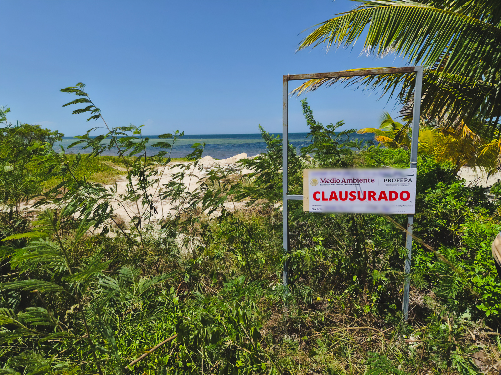 Profepa clausura obras en Yobaín, Yucatán, por remoción de duna costera sin autorización 