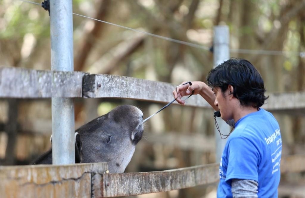 Con paletas de hielo, fruta y vitaminas protegen a los amimales de zoológicos de Mérida